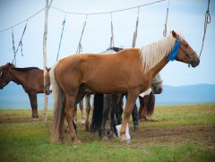 “Хүлэг эрдэнэ“ нэвтрүүлэг