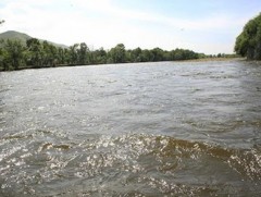 Балж гол үерийн аюултай түвшинг 30 см орчим даван үерлэж байна  