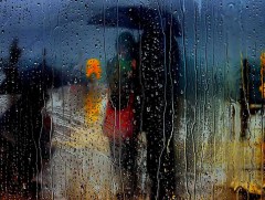 “Борооны хүн” таталбар