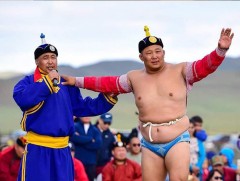 Шөвгийн дөрөвт дараах бөхчүүд шалгарч үлдлээ 