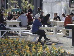 Шинэ Зеланд улсад дотоодод нь халдвар бүртгэгдээгүй 100 өдөр өнгөрлөө 