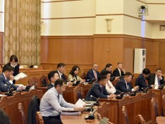 Хуулийн төслийн анхны хэлэлцүүлгийг дахин явуулахыг дэмжив