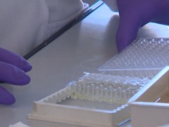 Монголын эрдэмтэд коронавирусний эсрэг биетийг илрүүлэх оношлуурын загвар гарган авчээ 