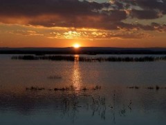 “Говийн ус-Ногоон хөгжил” эрдэм шинжилгээ, инновацийн чуулган Өмнөговь аймагт болно