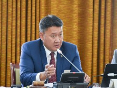 Хуулийн төслүүдийг хэлэлцэхийг дэмжиж, Ажлын хэсгүүд байгууллаа