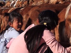 Ч.Тэргэлцэцэг, Ч.Цэцэгбал нарын өдрийн тэмдэглэлээс... 