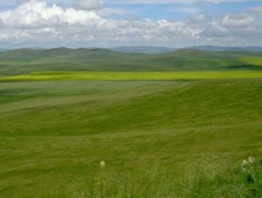 Газар, түүний баялаг ард түмний мэдэлд, төрийн хамгаалалтад байх заалт хөндөгдөөгүй 