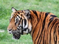 Барын тоо толгой нэмэгджээ