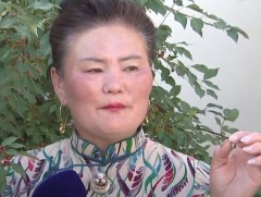 Д.Бадамчимэг хашаандаа 30 гаруй төрлийн жимсний мод, эмийн ургамал тарьжээ