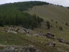 Хөвсгөлийн Хориг ууланд байрлах эзэнт гүрний үеийн булшнуудыг тоножээ 