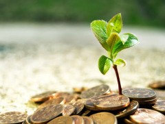 Иргэн, аж ахуйн нэгжүүдэд ногоон зээл олгож байна