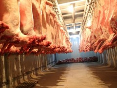 Энэ онд манай улс 52 мянган тонн мах экспортлохоос 9 мянган тонныг гаргажээ 