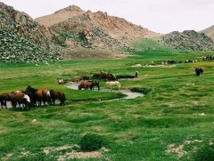 “Төгрөгийн гол” дурсамж зураглал