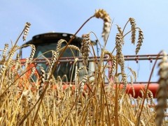 Ургац хураалтын эргэн тойронд...