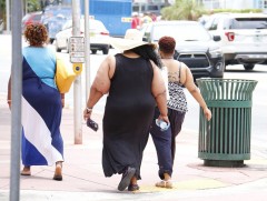 Дэлхий дахинаа таргалалт улам нэмэгдэж байна 