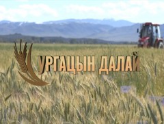 Ургацын далай