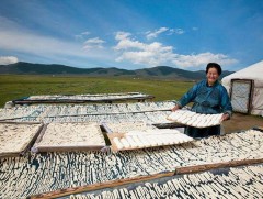 Ааруул, хурууд бэлтгэх уламжлалт арга болон шим идээ болох нь