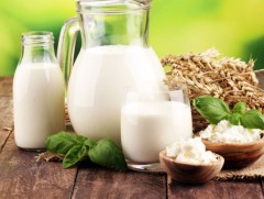 Малчид, фермерүүдэд сүүний урамшуулал олгох журам баталлаа 