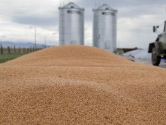 Улаанбуудайн хэрэгцээг 100 хувь дотоодоос хангах боломж бүрдэж байна 