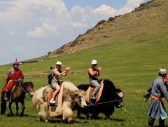 Жуулчдын тоог нэг саяд хүргэхээр төлөвлөж байна