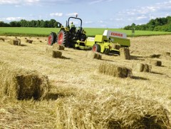 Өвөрхангай аймгийн аюулгүйн нөөцөд 900 тонн өвс бэлтгэхээр ажиллаж байна