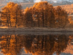 Намрын хөх сөл