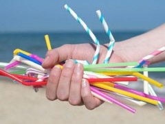 Англид нэг удаагийн хуванцар эд зүйлсийн хэрэглээнээс татгалзаж эхэллээ 