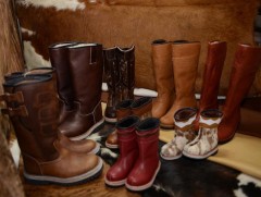 Дотоодын гутлын үйлдвэрүүд хэрэглээний 20 хувийг хангаж байна 