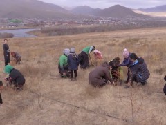 500 орчим залуу сайн дураараа мод тарих аянд нэгдлээ