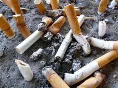 Өдөрт 3.5 сая ширхэг тамхины иш хог болон хаягддаг