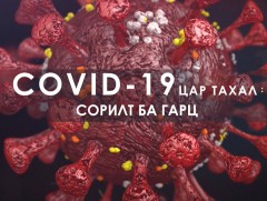 Covid-19 Цар тахал: Сорилт ба гарц 