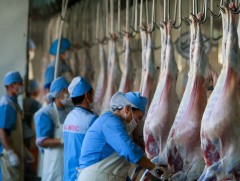 Ховд аймагт өдөрт 100 орчим мал зах зээлийн ханшаар худалдаалагдаж байна