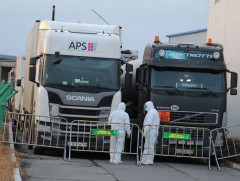 Импортын бүтээгдэхүүнийг 12 дугаар сараас эхлэн 