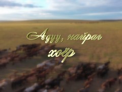 Адуу найраг хоёр