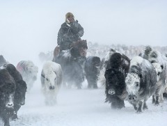 Цаг агаарын аюултай үзэгдлээс сэрэмжлүүлж байна!