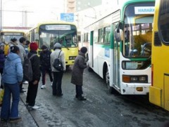 Нийтийн тээврийн оновчтой менежмент хэрэгтэй байна 