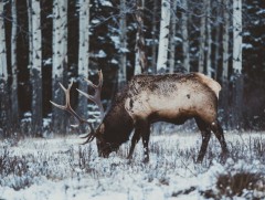 Энэ долоо хоногт цаг агаар ямар байх вэ?