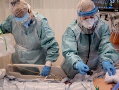 Швед, Швейцар улсын эрчимт эмчилгээний тасгуудын ор хүрэлцэхгүй болжээ