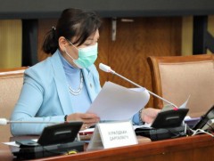 НББХ: Гэр бүлийн хүчирхийлэлтэй тэмцэх тухай хууль тогтоомжийн биелэлтийн талаарх Засгийн газрын т..