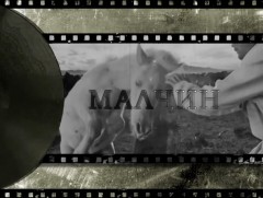 Хөвсгөл аймгийн өвөлжилтийн өнөөгийн байдал