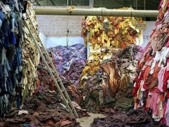 Нью Жерси мужийн багш 100 хоногт нэг л хувцас ѳмсѳх хѳдѳлгѳѳн өрнүүлжээ