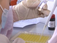 Монгол эрдэмтэд коронавирусний эсрэг биет илрүүлэх оношлуур бүтээжээ 