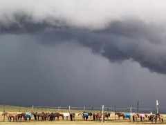 Дэлтэй, дээлтэй хийморь