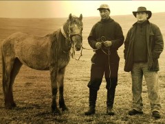 Монгол Улсын тод манлай уяач А.Батсүхийн Уяа хонгор азарга