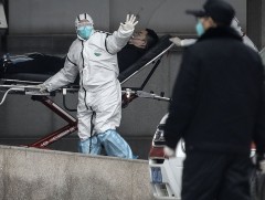 ДЭМБ “COVID-19” цар тахал хаанаас эхтэйг тогтоохоор судалгааны багаа Ухань руу илгээнэ 