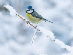 Сарын хуучийн тэнгэр