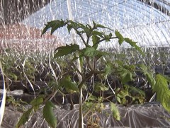 ХАА-н фермер мэргэжилтэн бэлтгэх чадамжийн төв байгуулагджээ