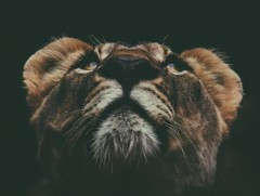 Фото: Амьтдын ертөнцөөр аялахуй...