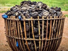 Аргалын гал дулаахан