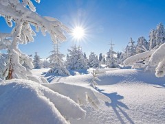 Өглөөний сайхныг магтан биширсэн сэтгэлийн өргөл 